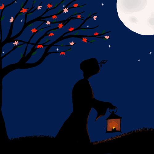 Midnight dream